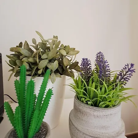 Jardins Da Marina Bq