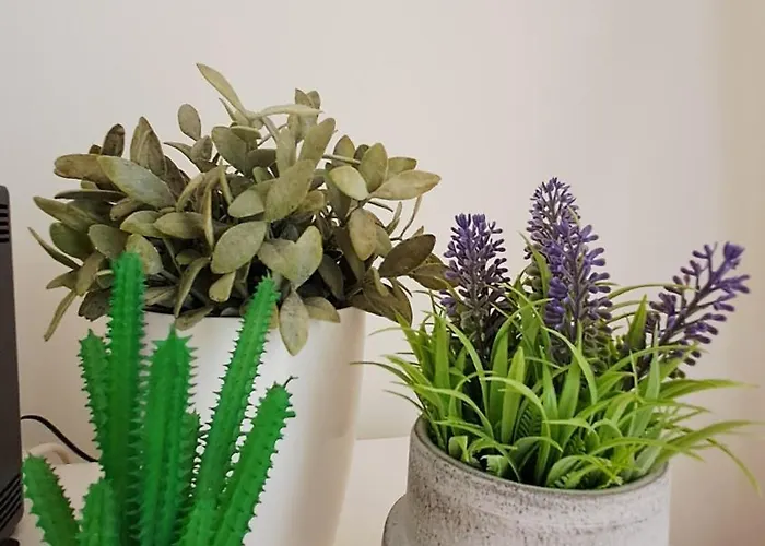 Jardins Da Marina Bq